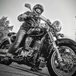 Meet your Posher, Teddy